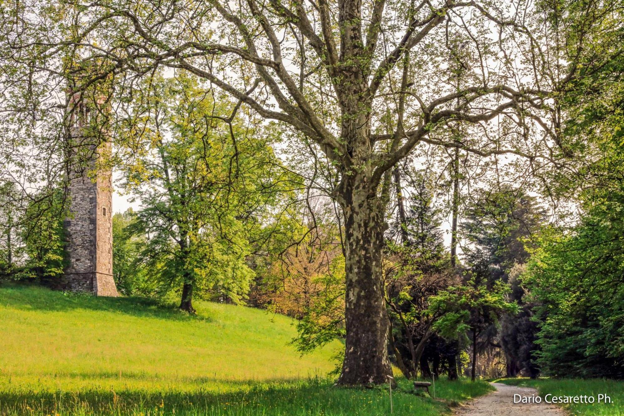 Villa Cagnola Schianno Экстерьер фото
